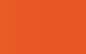 AJU Orange #e85624